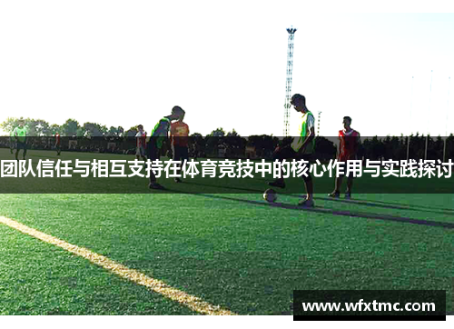 团队信任与相互支持在体育竞技中的核心作用与实践探讨